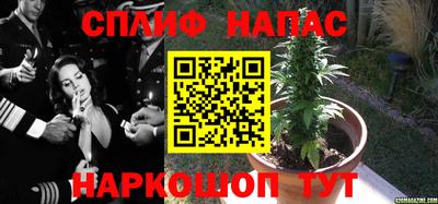 герыч Камышлов