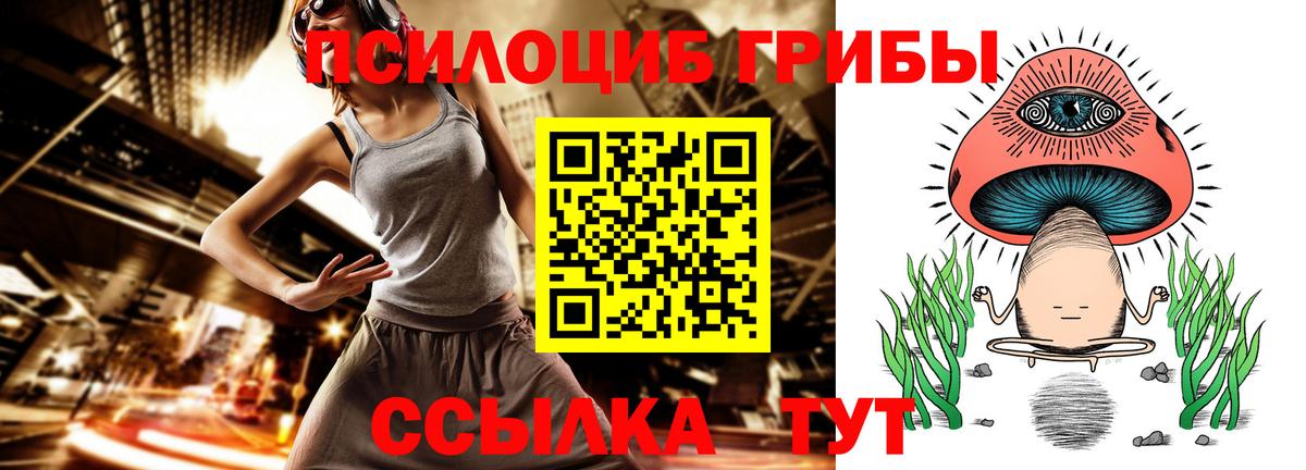 Кохма  Галлюциногенные грибы Magic Shrooms  Вход с VPN 