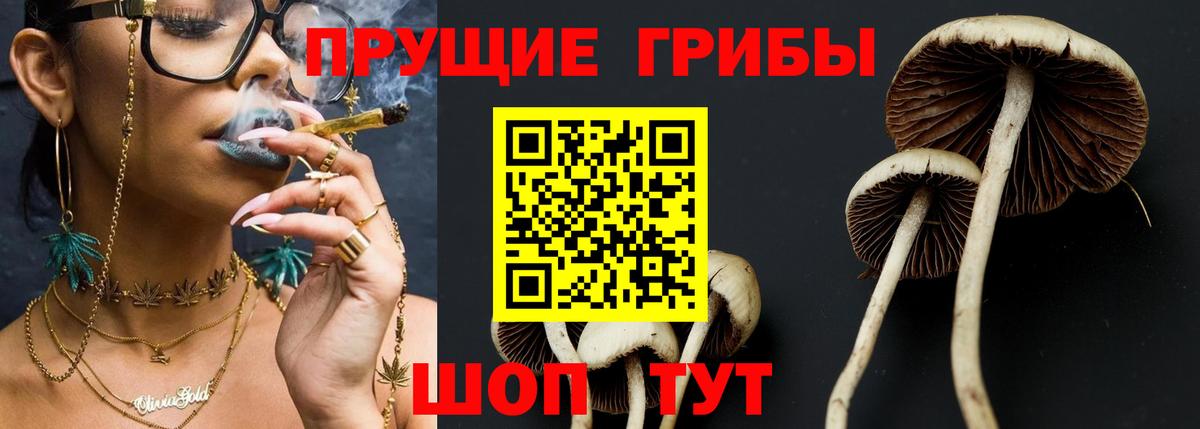 Галлюциногенные грибы MAGIC MUSHROOMS Кохма